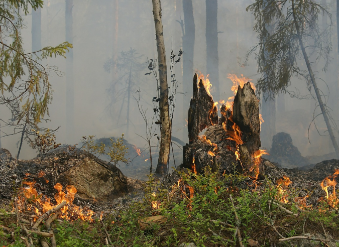 Des randonneurs bloqués par l’incendie sur le sentier GR ® 20 en Corse 