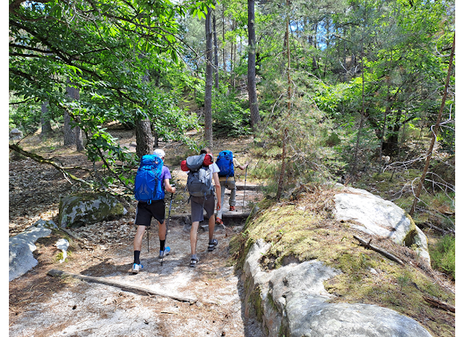 Restauration du sentier des 25 Bosses en forêt de Fontainebleau 