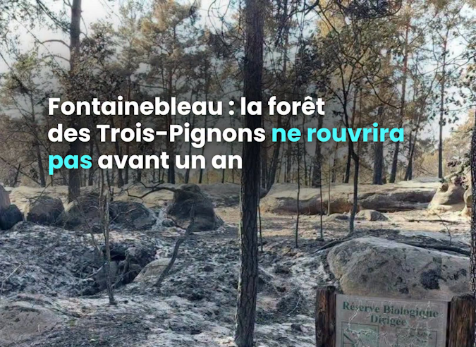 L’accès aux forêts après l’incendie : l’exemple de Fontainebleau 
