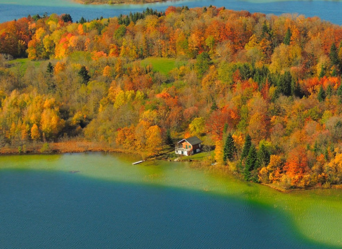  Changement climatique et  préservation des forêts