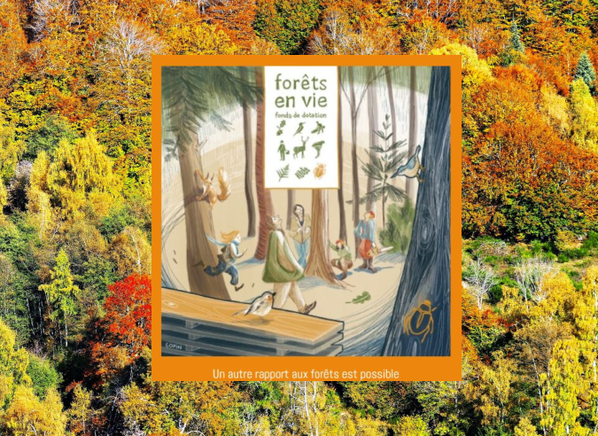 Forêts en Vie, premier fonds de dotation dédié à la forêt en France, 
