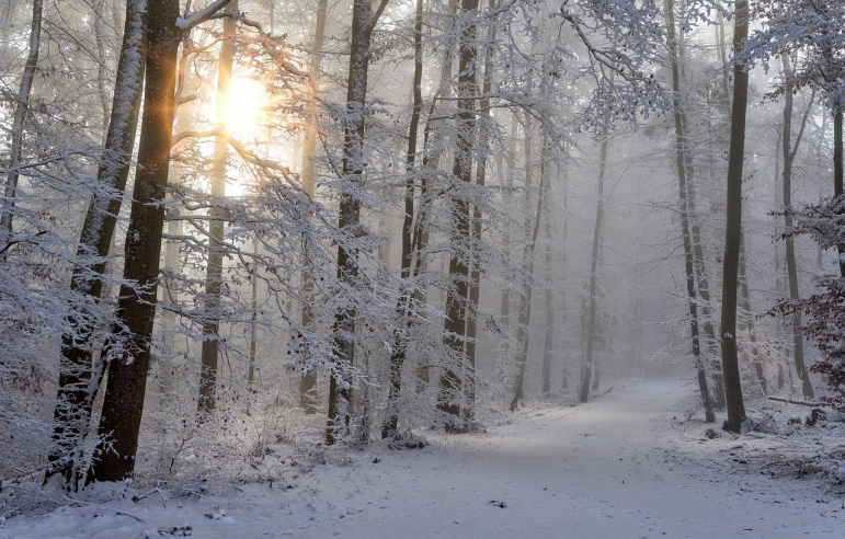 Concours photo hivernal en Ille-et-Vilaine Concours photo hivernal en Ille-et-Vilaine