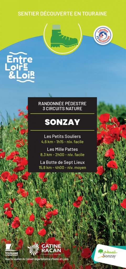 randos sonzay