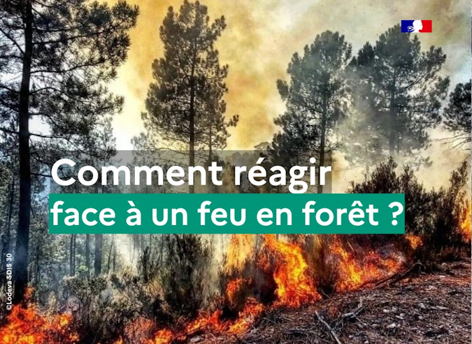 Feux de forêts : que faire si on en est témoin d’un départ de feu ? 