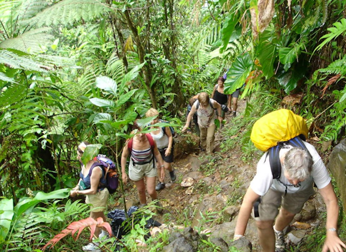 *Guadeloupe : un balisage spécial pour sécuriser les sentiers de randonnée