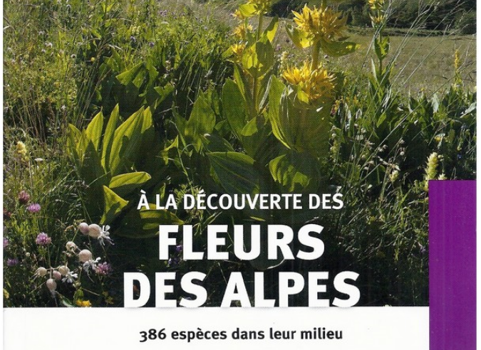 Guide : À la découverte des Fleurs des Alpes