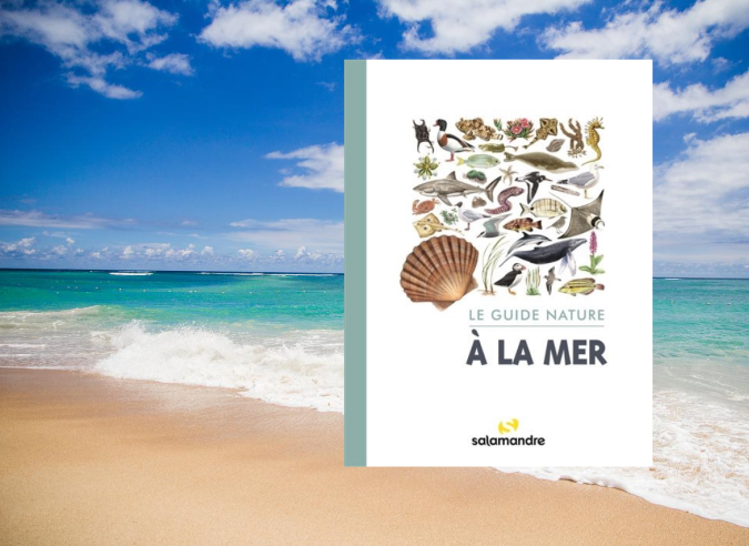 Le Guide Nature - À la Mer - Salamandre