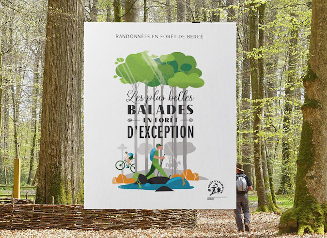  Guide - Randonnées en forêt de Bercé “ dans la Sarthe