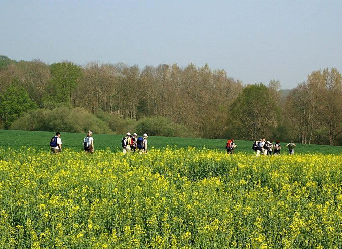 Les jeunes et la randonnée en Île de France : sondage 