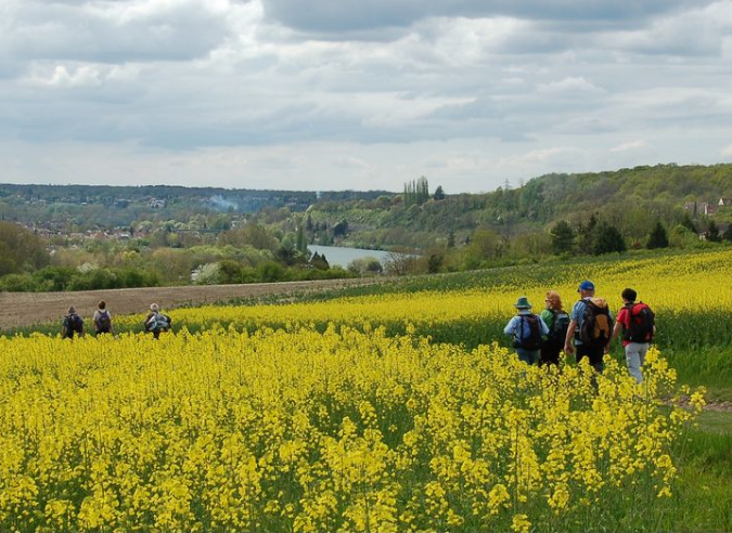 Dans le Val d’Oise, la biodiversité des coteaux de la Seine est bien préservée