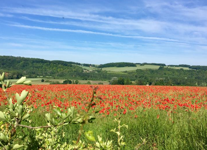 e Randopolitain repart sur les sentiers franciliens pour une nouvelle saison e Randopolitain repart sur les sentiers franciliens pour une nouvelle saison