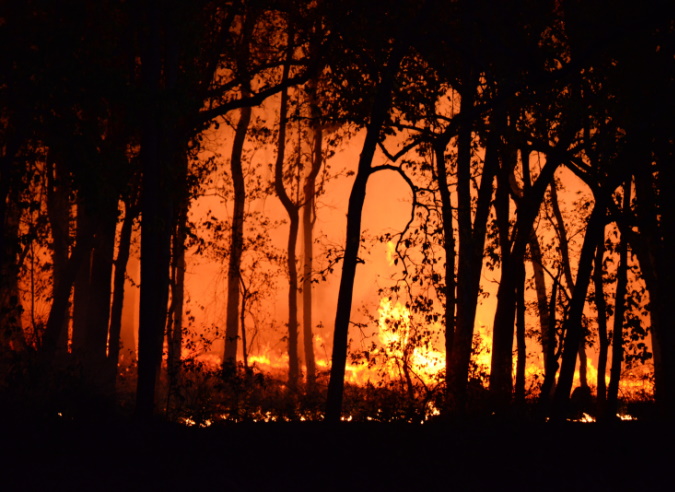 En Ille et Vilaine, des itinéraires de randonnée sont déviés après les incendies En Ille et Vilaine, des itinéraires de randonnée sont déviés après les incendies