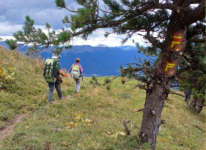 Zoom sur les baliseurs des sentiers des Alpes de Haute Provence 