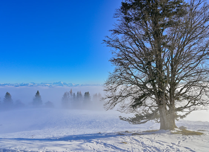 Itinérance sur la Grande Traversée du Jura à ski de fond 