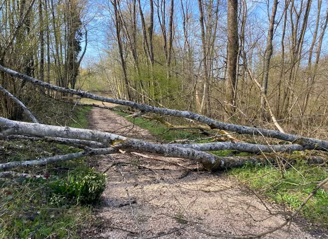 Certains sentiers du Jura dégradés par les intempéries : prudence ! Certains sentiers du Jura dégradés par les intempéries : prudence !