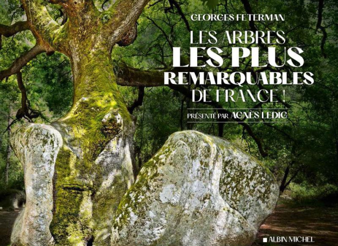 Livre : Les Arbres les plus remarquables de France 