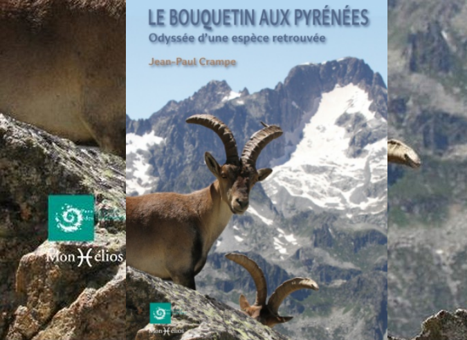  "Le bouquetin aux Pyrénées – Odyssée d’une espèce retrouvée"