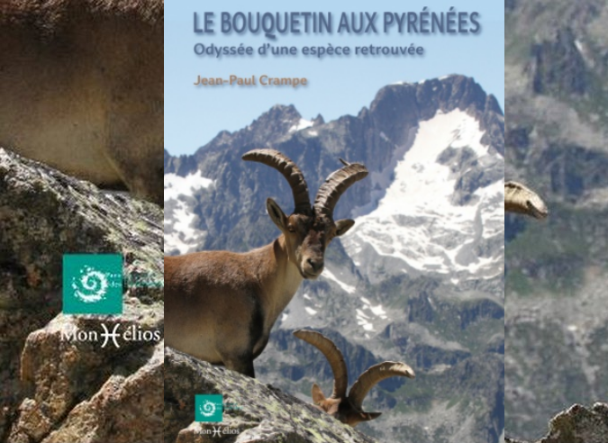 "Le bouquetin aux Pyrénées – Odyssée d’une espèce retrouvée" "Le bouquetin aux Pyrénées – Odyssée d’une espèce retrouvée"