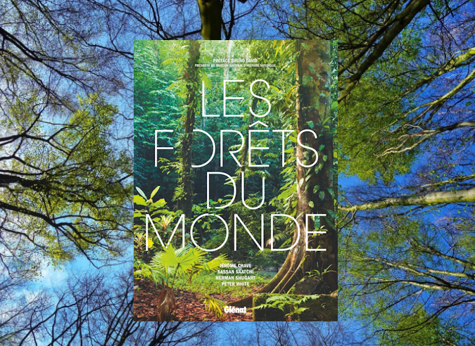  Livre : Les forêts du monde 