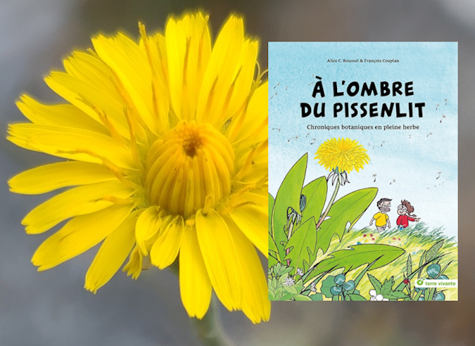 BD : À l'ombre du pissenlit BD : À l'ombre du pissenlit