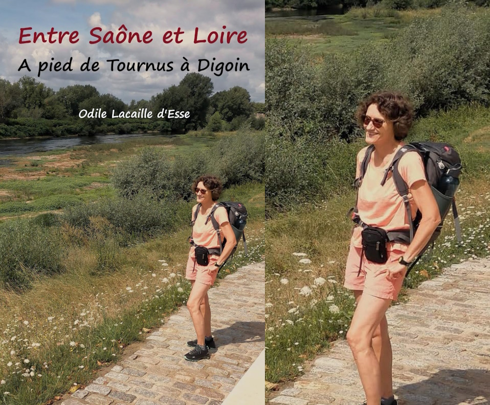 livre-saone