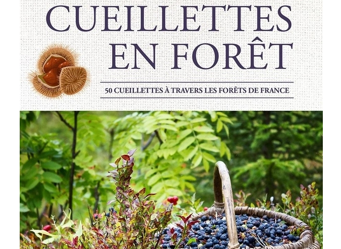 Livre : Cueillettes en forêt Livre : Cueillettes en forêt