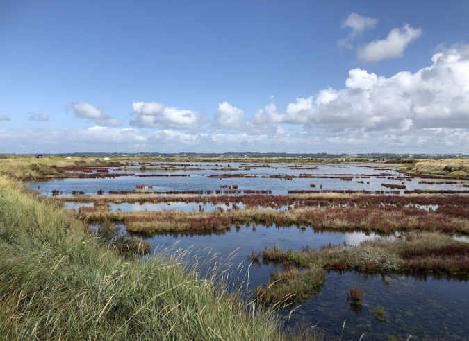 Randonnée à Guérande, au pays de l'or blanc de Loire atlantique 