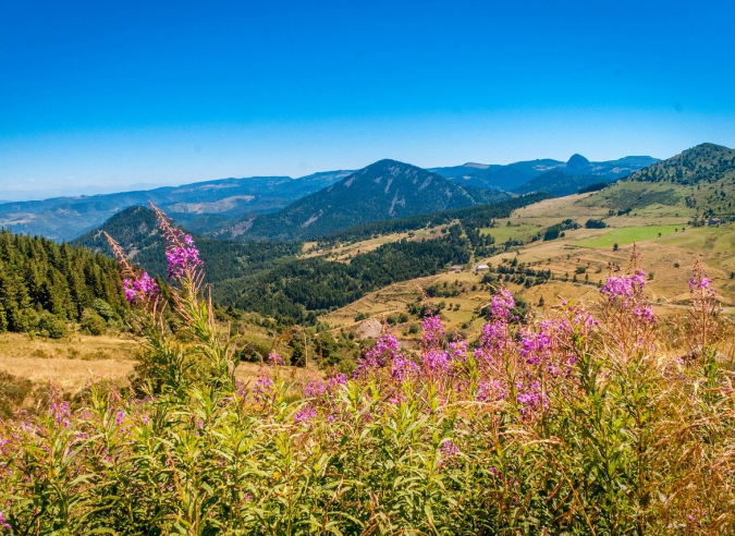 Mont Mézenc : un grand chantier, la restauration des sentiers