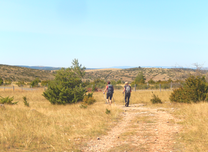 En Lozère, fermeture temporaire du GR® 6 - Chemin de St-Guilhem sur le causse Méjean 