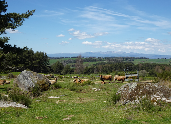 Préparer une rando avec  ChatGPT , est-ce fiable ?
