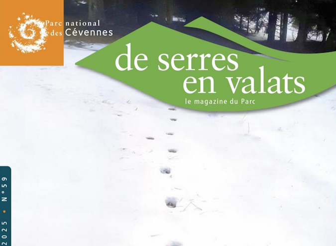 Quelles nouvelles dans le Parc des Cévennes ?