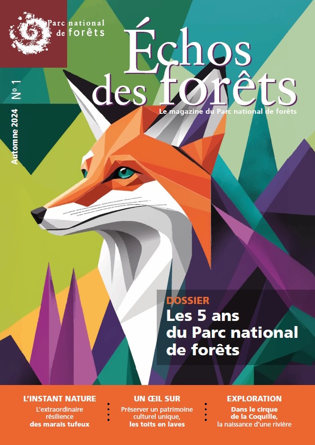 echos des forêts