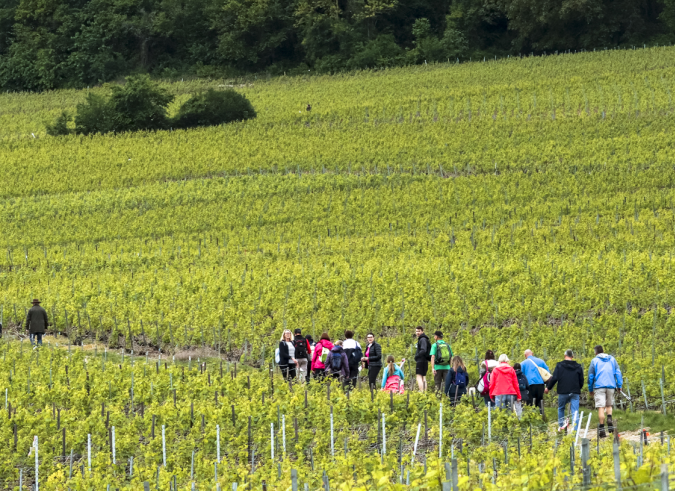 Comment se porte la randonnée dans la Marne ?  