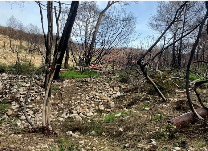 La forêt de Martigues (Bouches du Rhône) : l’accès interdit après un incendie récent