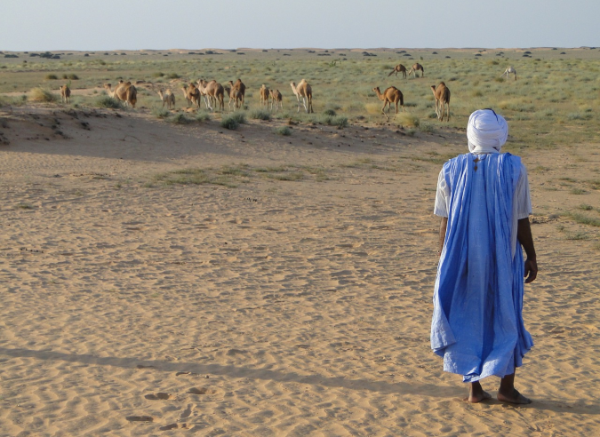 Reprise des treks en Mauritanie Reprise des treks en Mauritanie