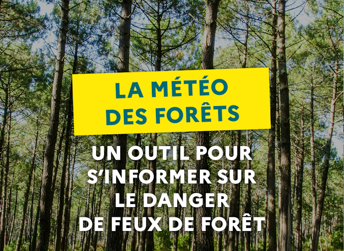 Les feux de forêt et de végétation : une vraie menace ! 