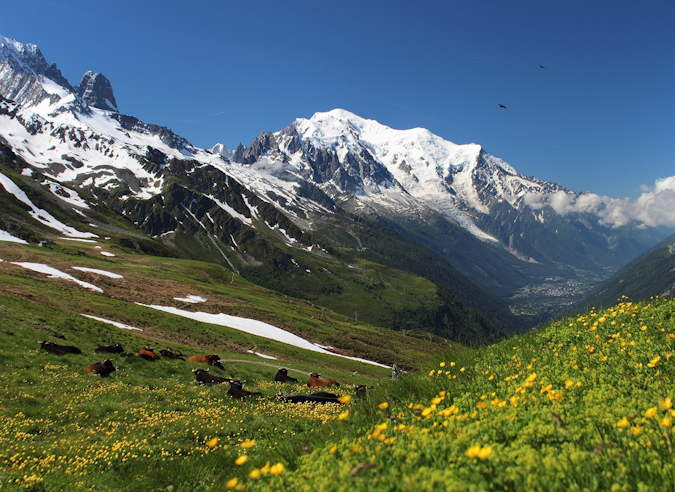 Le Tour du Mont-Blanc : un impact économique de plusieurs millions d'euros 