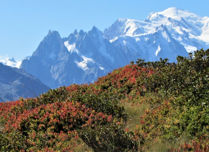 Un défi mené à bien : nettoyer le Tour du Mont Blanc 