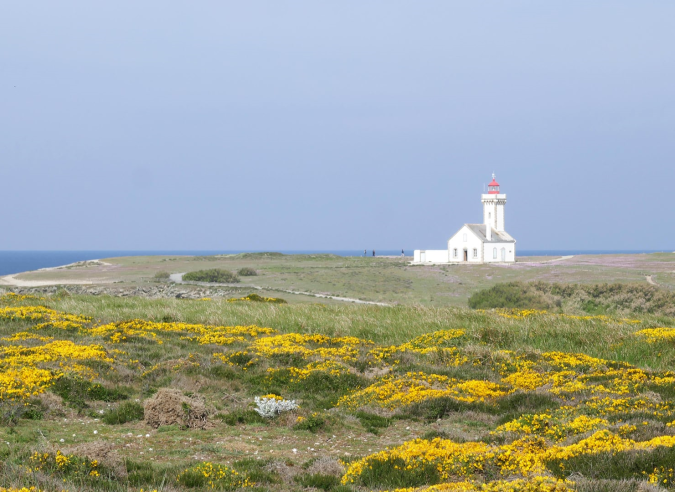 Dans le Morbihan, Belle-Île souffre de la surfréquentation des randonneurs Dans le Morbihan, Belle-Île souffre de la surfréquentation des randonneurs