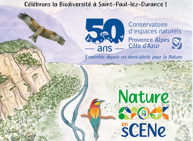 Protection de la nature et randonnée dans les Bouches du Rhône