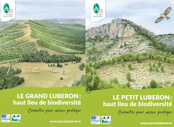 Richesse et diversité des milieux naturel du Luberon Richesse et diversité des milieux naturel du Luberon