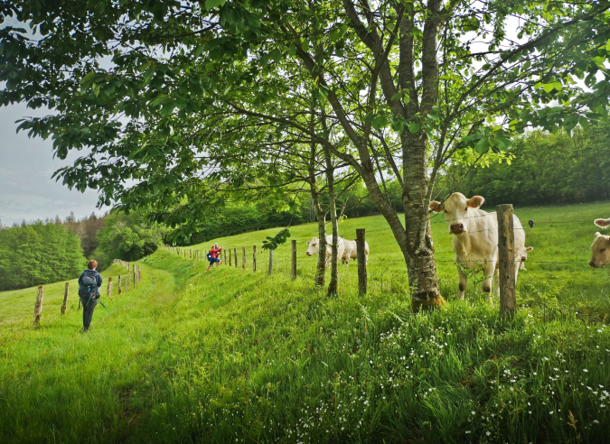 Une nouvelle aire d’éco-bivouac dans le parc du Morvan