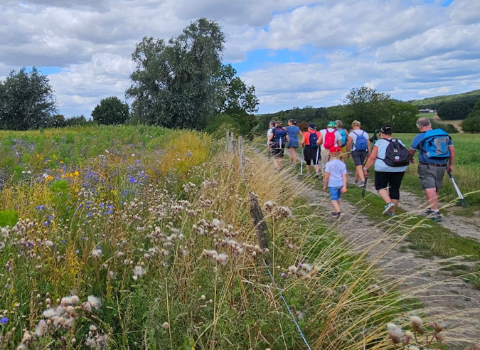 Collectivités territoriales et clubs sportifs : comment ça marche ? 