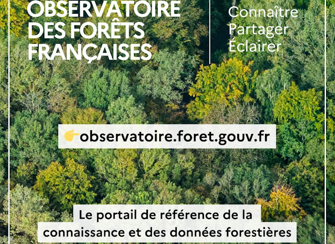  La forêt française en progression mais sans équilibre de l'écosystème