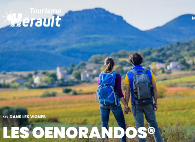 Les Oenorandos®, une spécialité de l’Hérault