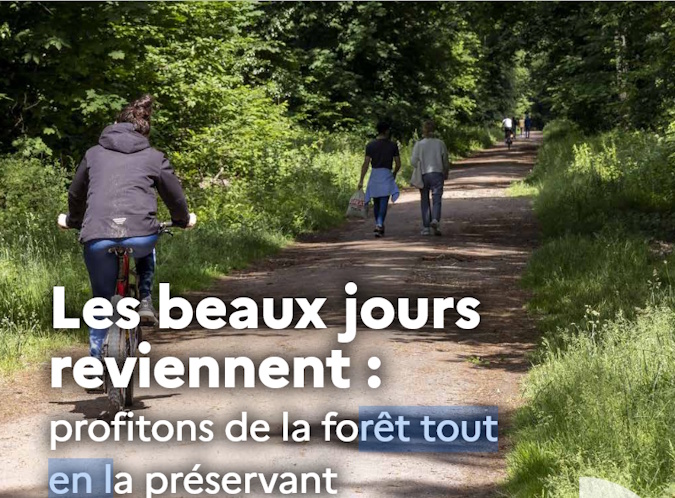 Quelles sont les bonnes pratiques lors des sorties en forêt ? 