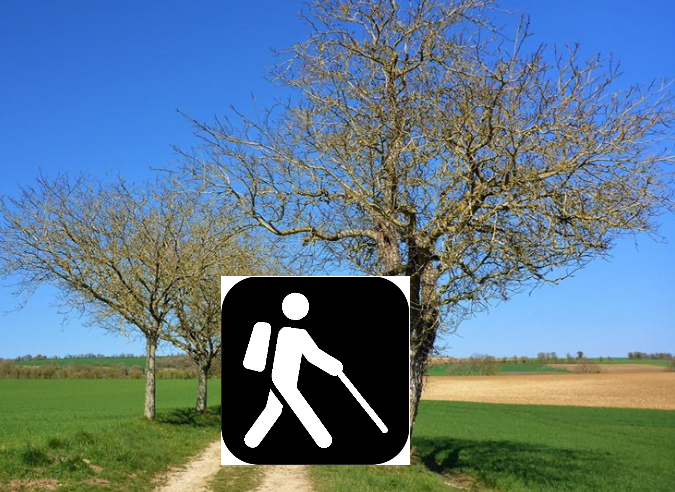 Une appli pour randonneurs déficients visuels Une appli pour randonneurs déficients visuels