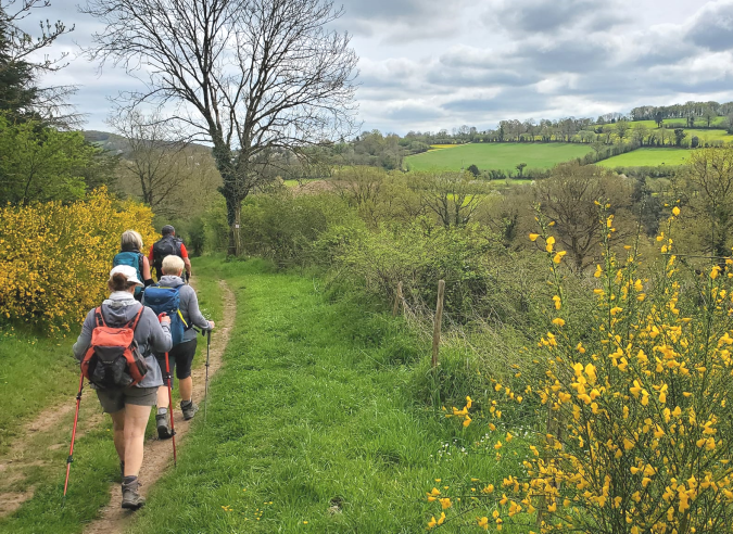 Comment réguler l’accès à la nature pour la protéger ? Comment réguler l’accès à la nature pour la protéger ?