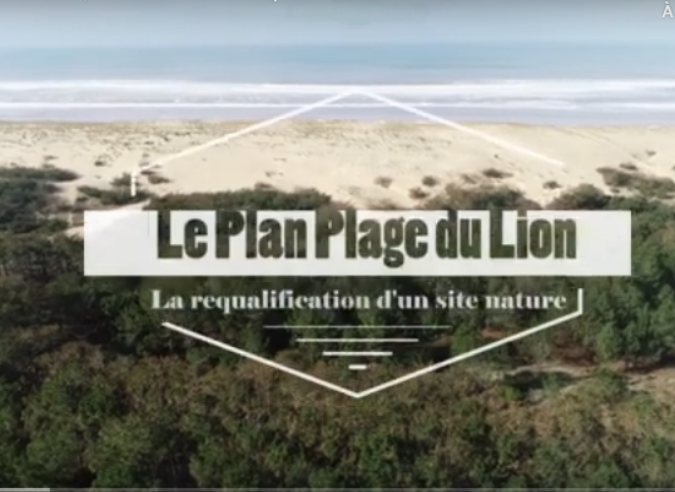 Restauration d’un site dégradé en forêt de Lacanau (Gironde) 