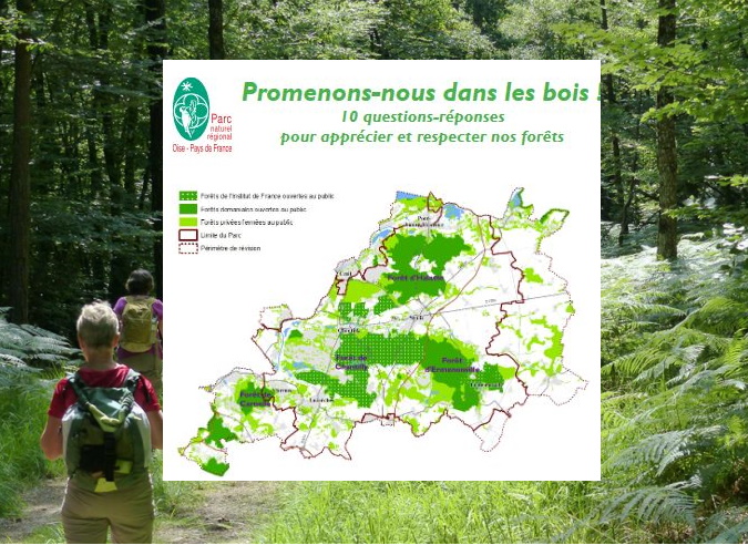 Promenons-nous dans les bois … dans le respect des règles Promenons-nous dans les bois … dans le respect des règles